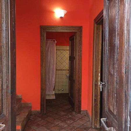 Cortile Nel Borgo Lägenhet Civitella dʼAgliano Exteriör bild