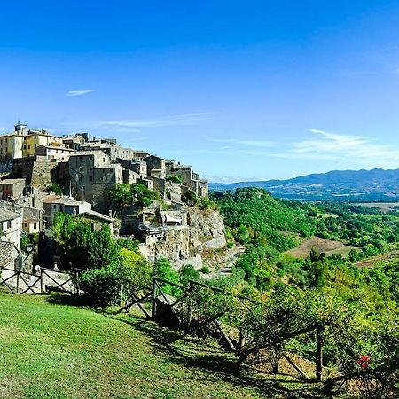 Cortile Nel Borgo Lägenhet Civitella dʼAgliano Exteriör bild