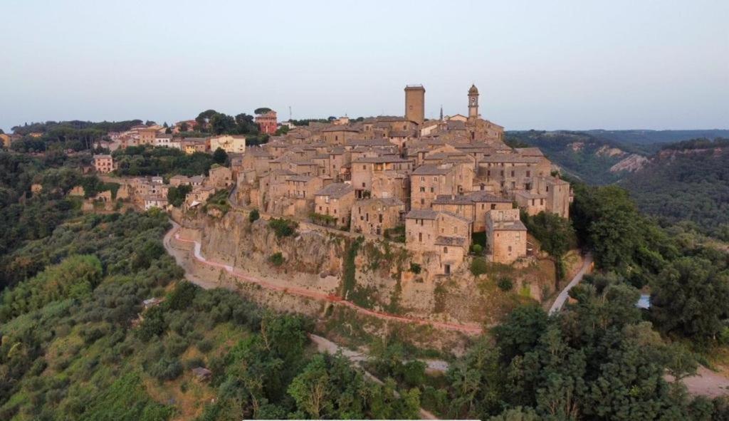 Cortile Nel Borgo Lägenhet Civitella dʼAgliano Exteriör bild