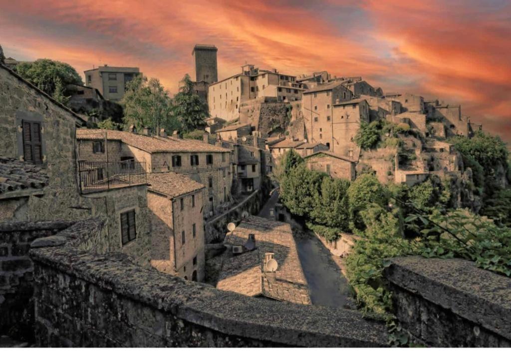 Cortile Nel Borgo Lägenhet Civitella dʼAgliano Exteriör bild